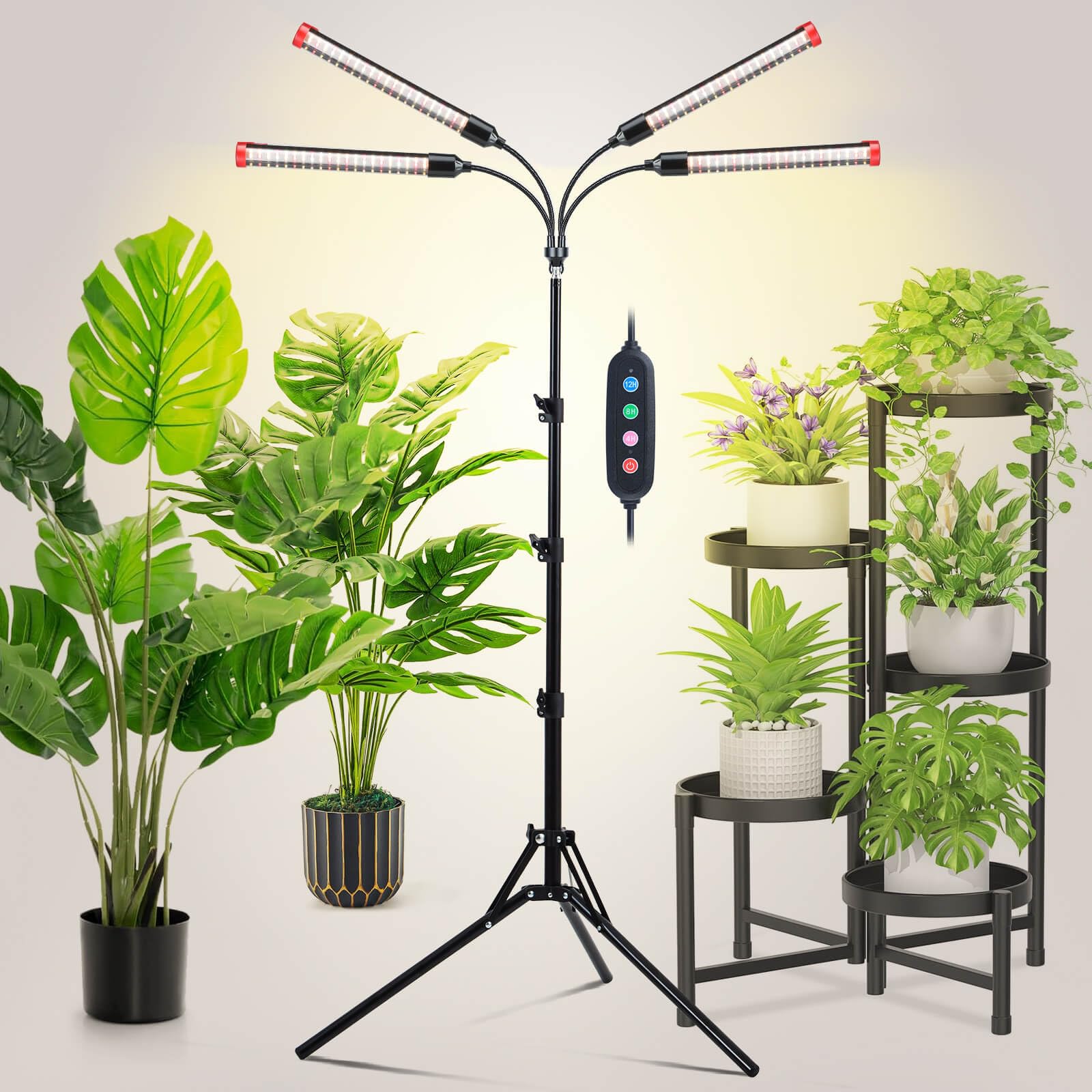 Amazon.com : JINHONGTO Grow Light with Stand and Timer 4,8,12,16